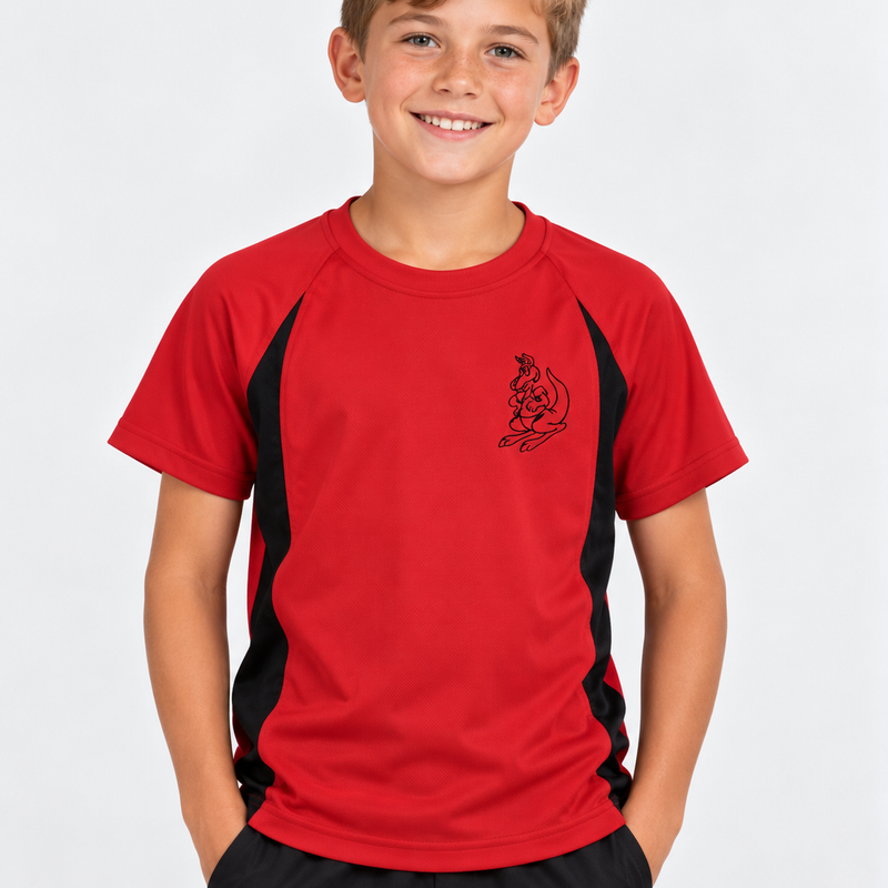 Avonvale Faction T Shirt
