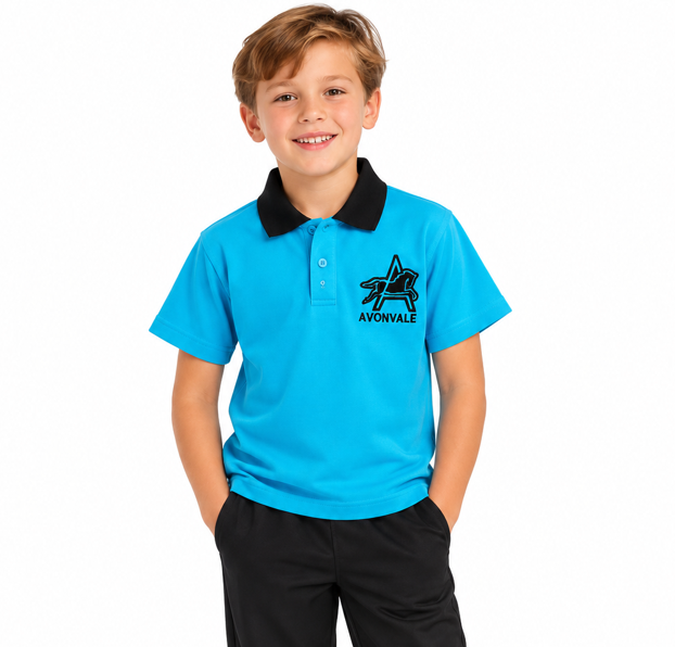 Avonvale School Polo